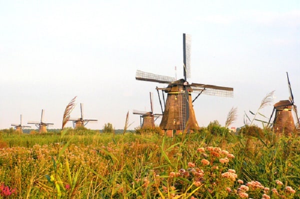Hà Lan không chỉ là điểm đến của các chuyến du lịch mà còn là điểm du học của nhiều du học sinh