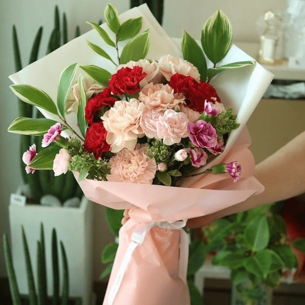 Nên tặng cô giáo hoa cẩm chướng nhân dịp sinh nhật