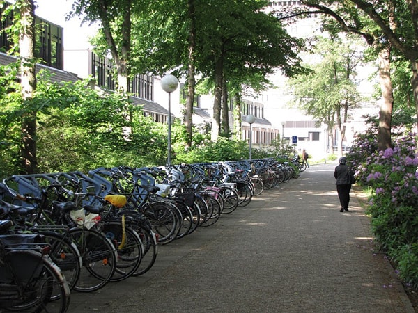 Trường đại học Radboud có môi trường học tập và sinh hoạt tốt đáp ứng nhu cầu của mọi du học sinh