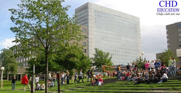 Đại học Erasmus Rotterdam có nên học không?
