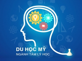 Chọn trường nào để du học Mỹ ngành tâm lý?