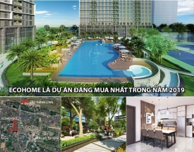 Tại sao Ecohome là dự án đáng mua nhất trong năm 2019?