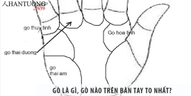 Gò là gì, gò nào trên bàn tay to nhất?