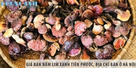 Giá bán nấm lim xanh Tiên Phước, địa chỉ bán ở Hà Nội?