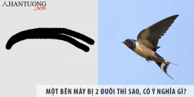 Một bên mày bị 2 đuôi thì sao, có ý nghĩa gì?